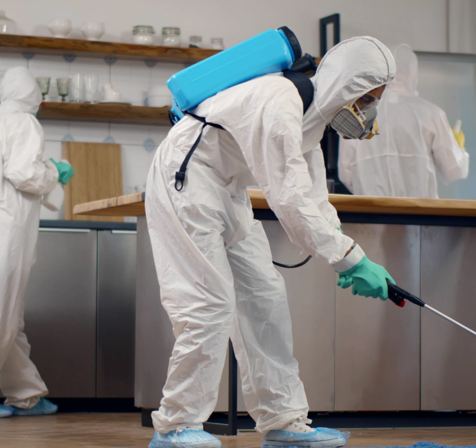 Residential General Pest Control Service