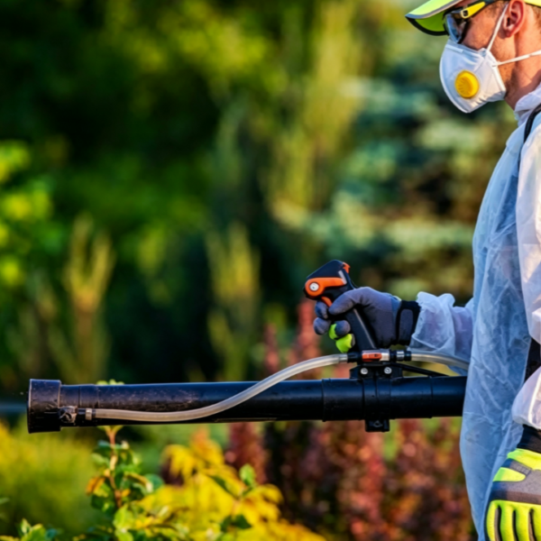 Seasonal Pest Control Service