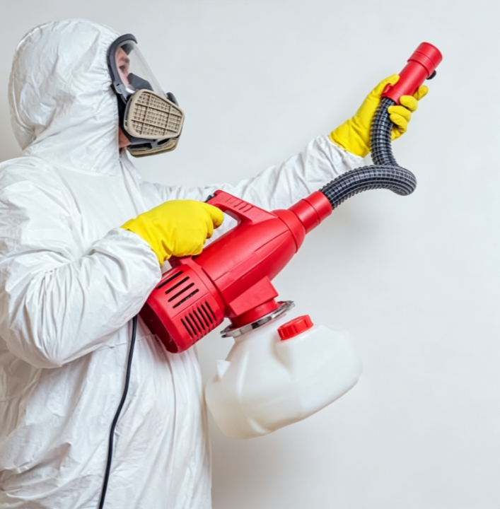 Flea Control Service